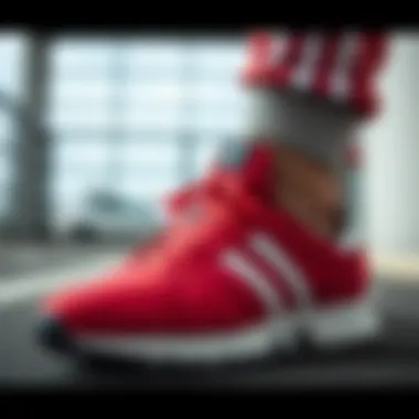 Stylish look of Adidas Adistar CS for sport enthusiasts