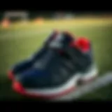 Stylish Adidas children's footwear suitable for various sports activities.