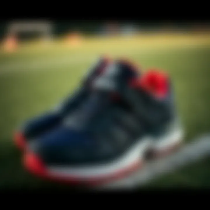 Stylish Adidas children's footwear suitable for various sports activities.