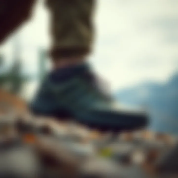 Adidas Terrex in Action: Ideal for Hiking Adventures Adidas Terrex shoes in action during a hiking activity