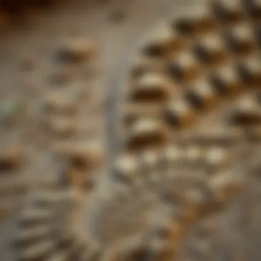 Footprint in the mud showcasing durability of hiking footwear