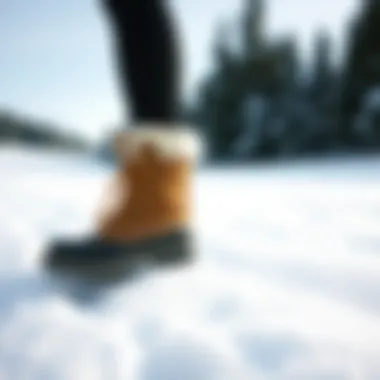 Stylish Winter Boots Stylish winter boots in a snowy landscape