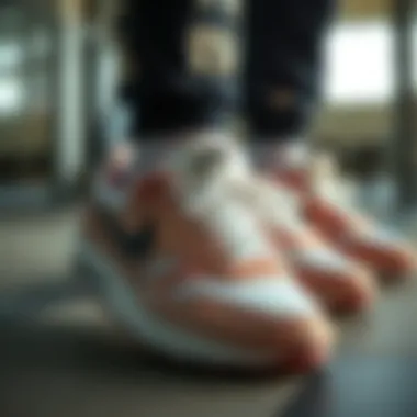 A collection of Nike shoes designed for sports and casual wear