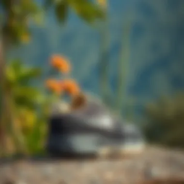 Stylish footwear set against a vibrant natural backdrop