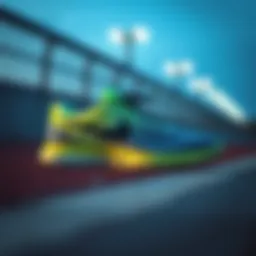 Nike Lunarglide 6: Spor Ayakkabı İncelemesi Introduction