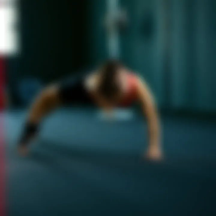 Exploring Plank Variations Different variations of plank positions