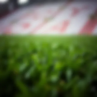 Close-up view of artificial grass texture