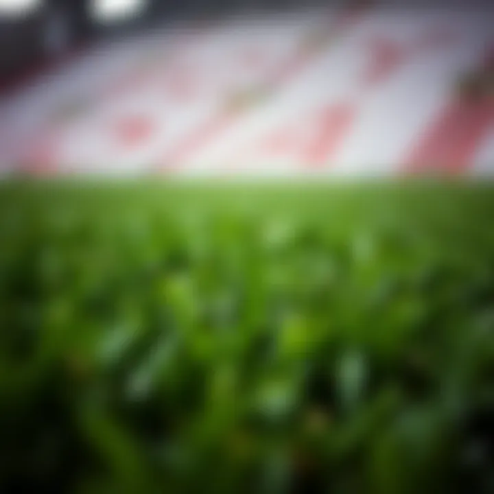 Close-up view of artificial grass texture