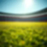 Vibrant artificial turf field under bright sunlight