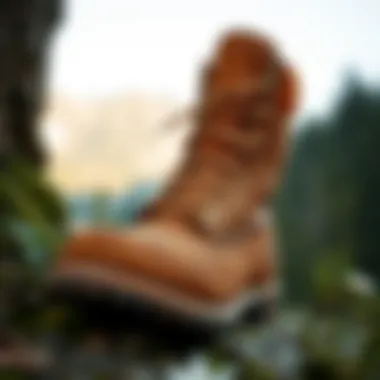Timberland Boots in Outdoor Environments Timberland waterproof boots in various outdoor settings