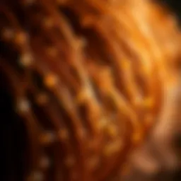 Illustration depicting the biochemical role of Vitamin A in hair follicles.