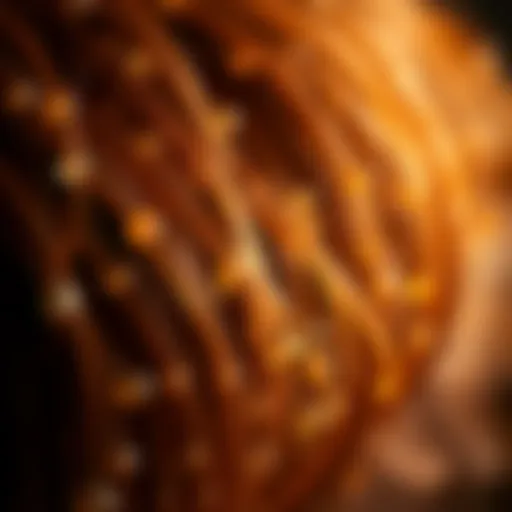 Illustration depicting the biochemical role of Vitamin A in hair follicles.